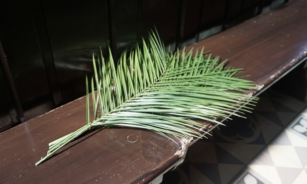 Diecezja gliwicka. Czwarta niedziela (Palmowa) - z Mszą bez wiernych w kościele
