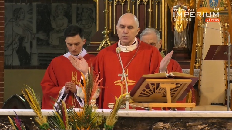 Katedra gliwicka. Niedziela Palmowa z pustymi ławkami 