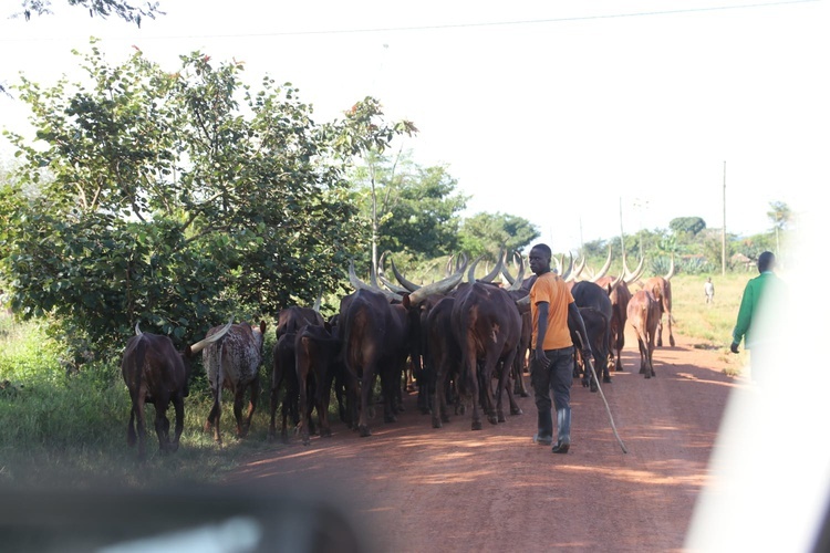 Tanzania, misje i zagrożenie koronawirusem