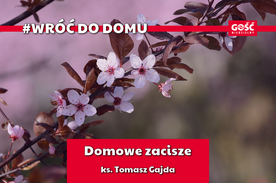 Odcinek 6. Domowe zacisze