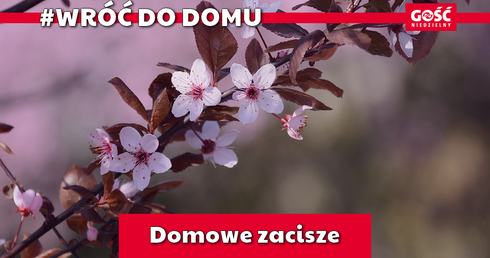 Odcinek 6. Domowe zacisze