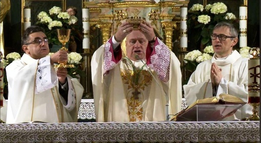 Liturgia Wigilii Paschalnej w konkatedrze w Żywcu - 2020