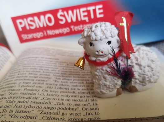 Słowo blisko Ciebie. Otwierają Biblię i drzwi swoich domów