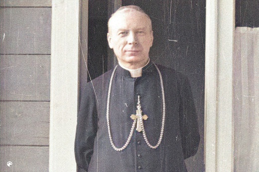 Kard. Stefan Wyszyński w kolorze