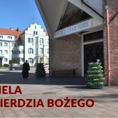 Poznaj historię kościoła Miłosierdzia Bożego w Elblągu 