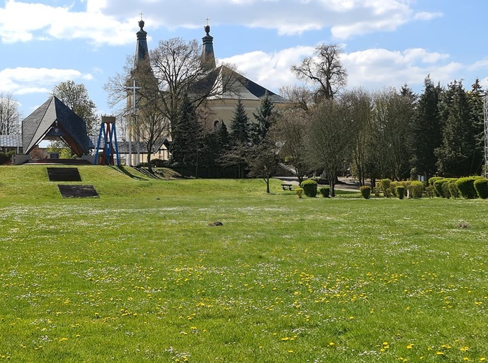Rokitno na wiosnę