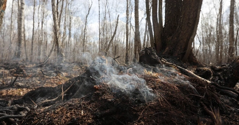 Biebrzański Park Narodowy: Około trzystu zrzutów wody wykonają śmigłowce