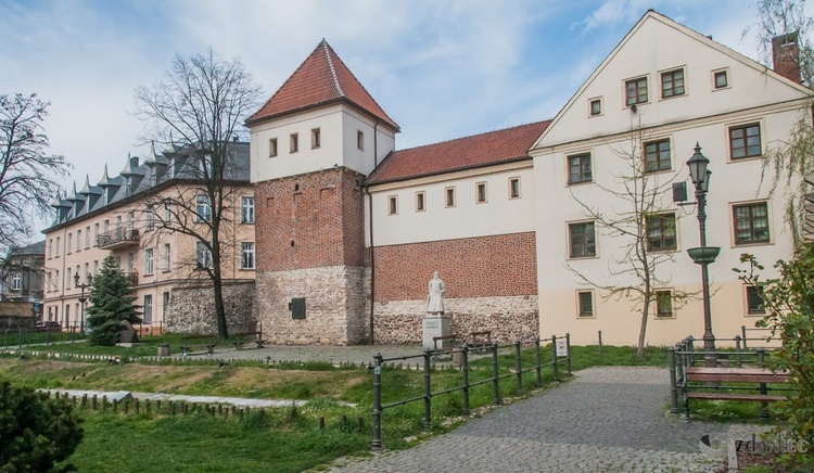 Z wirusem w Gliwicach - zdjęcia Zdzisława Dańca