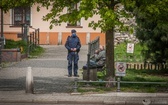 Z wirusem w Gliwicach - zdjęcia Zdzisława Dańca