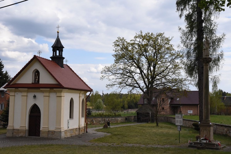 Wokół sanktuarium św. Stanisława BM w Szczepanowie