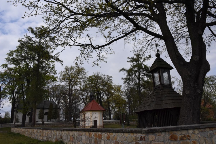 Wokół sanktuarium św. Stanisława BM w Szczepanowie