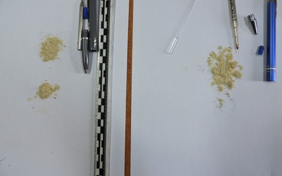 Substancja o wadze 0,88 grama i konsystencji proszku ukryta była we wkładach długopisu.
