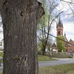 Św. Stanisław ze Szczepanowa