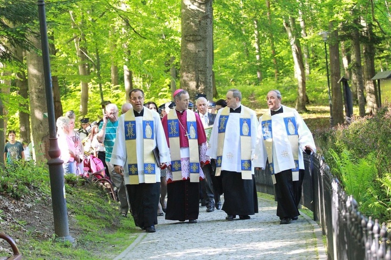 Procesja na Górę Parkową.