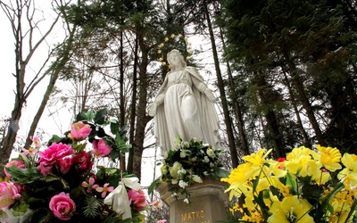Figura Matki Bożej - Królowej Krynickich Zdrojów.