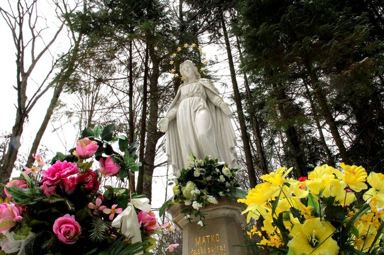 Figura Matki Bożej - Królowej Krynickich Zdrojów.