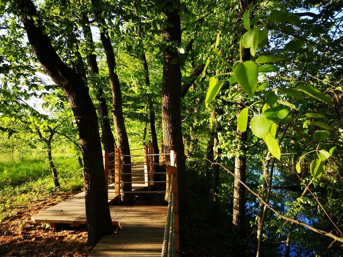 Swojczycki Park "Czarna Woda”