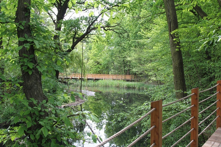 Swojczycki Park "Czarna Woda”