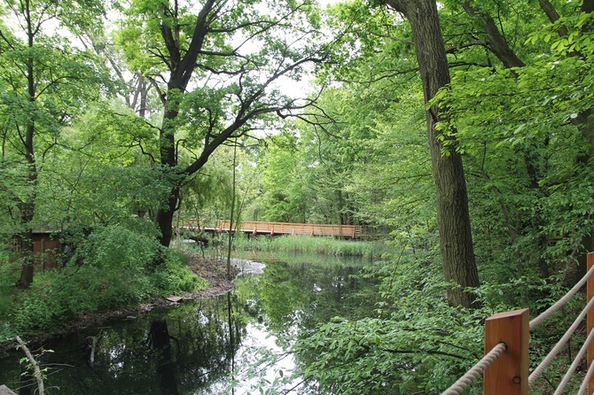 Swojczycki Park "Czarna Woda”