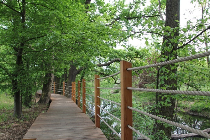 Swojczycki Park "Czarna Woda”