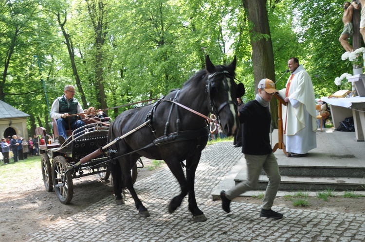 Pielgrzymka miłośników koni na Górę Świętej Anny