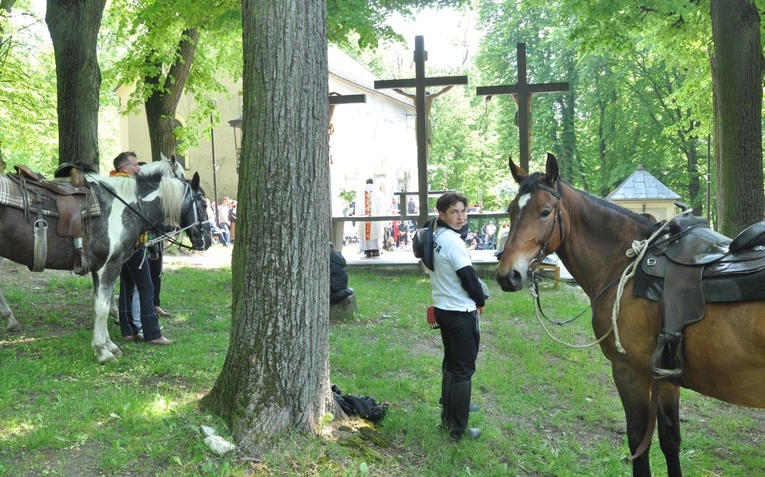 Pielgrzymka miłośników koni na Górę Świętej Anny