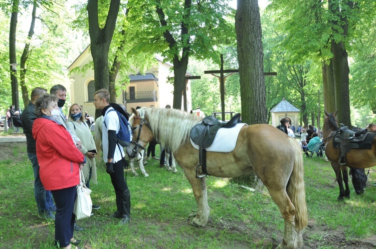 Pielgrzymka miłośników koni na Górę Świętej Anny