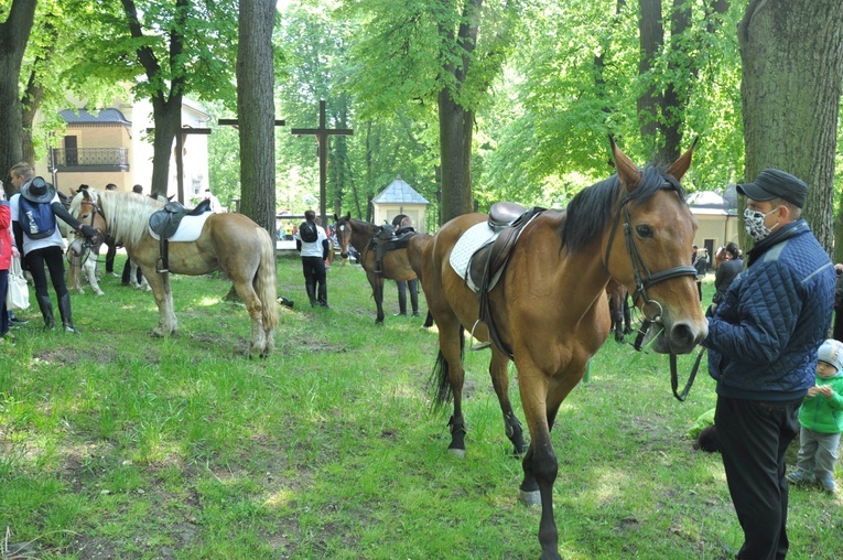 Pielgrzymka miłośników koni na Górę Świętej Anny