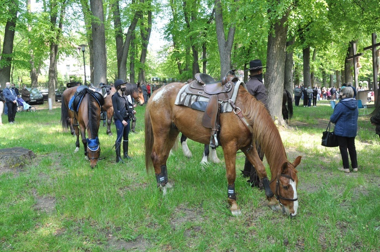 Pielgrzymka miłośników koni na Górę Świętej Anny