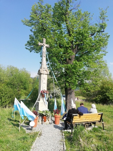 Majowa modlitwa na Złotych Łanach pod XIX-wiecznym krzyżem