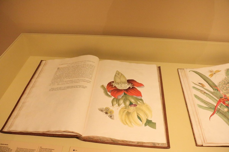 Wystawa "Rośliny i zwierzęta" w galerii Miedzynarodowego Centrum Kultury