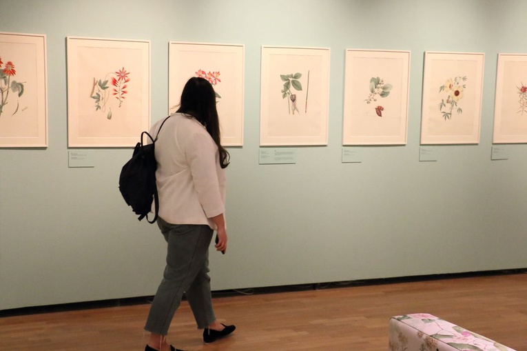 Wystawa "Rośliny i zwierzęta" w galerii Miedzynarodowego Centrum Kultury