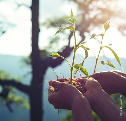 Modlitwa całego świata