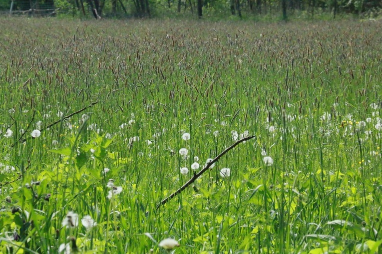 Wielków 10 lat po powodzi