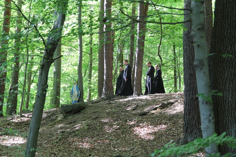 Neoprezbiterzy 2020. Kapłani - lekarze dusz ludzkich