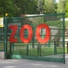 Krakowskie zoo znów przyjmuje gości