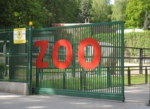 Krakowskie zoo znów przyjmuje gości