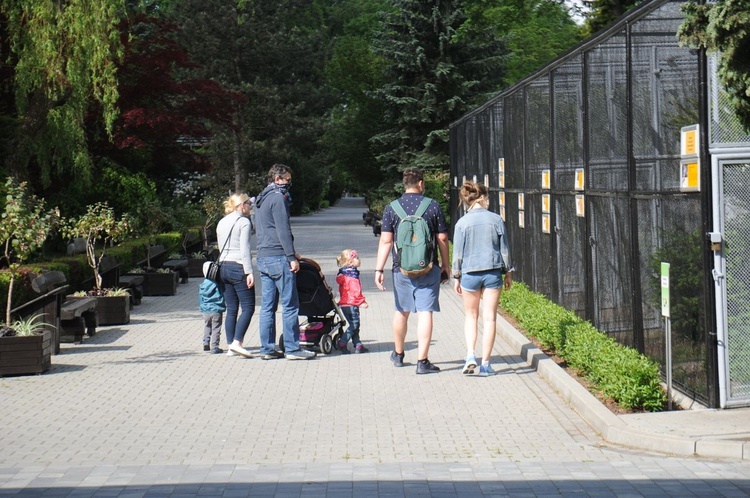 Krakowskie zoo znów przyjmuje gości