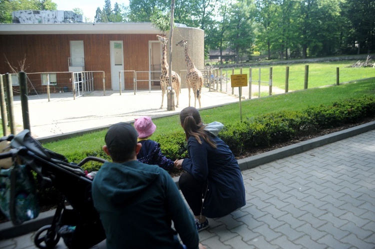 Krakowskie zoo znów przyjmuje gości