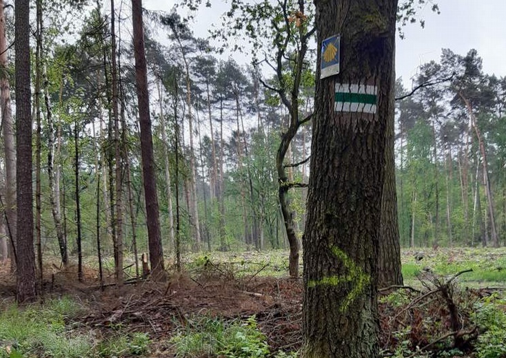 Na Dolnośląskie Drogi św. Jakuba powracają pielgrzymi