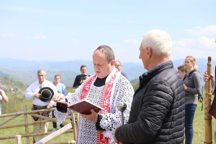 Mieszanie owiec u bacy Piotra Kohuta w Koniakowie - 2020