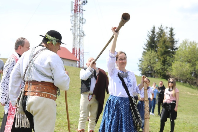 Mieszanie owiec u bacy Piotra Kohuta w Koniakowie - 2020