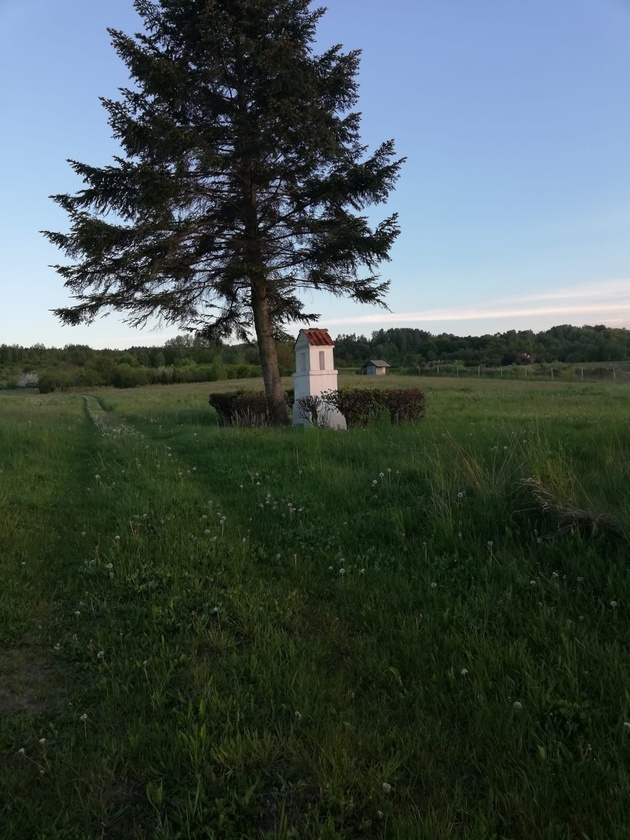 Konkurs "Majowe spotkania z Maryją"