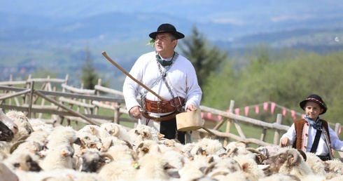 Baca Piotr Kohut rozpoczął kolejny wypas owiec, a wraz z nim - jego syn Paweł...