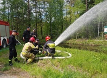 Sprawdzono możliwości poboru wody przez pompy różnego rodzaju.