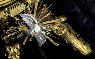 Gołębica symbolizująca Ducha Świętego w świdnickiej katedrze.