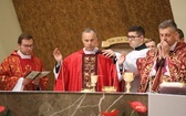 Święcenia kapłańskie w Bielsku-Białej - A.D. 2020
