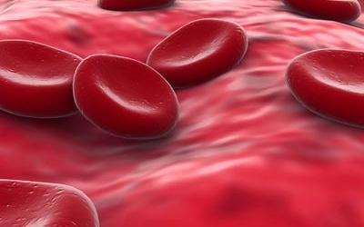 Opracowano syntetyczne krwinki - "potrafią więcej niż prawdziwe"