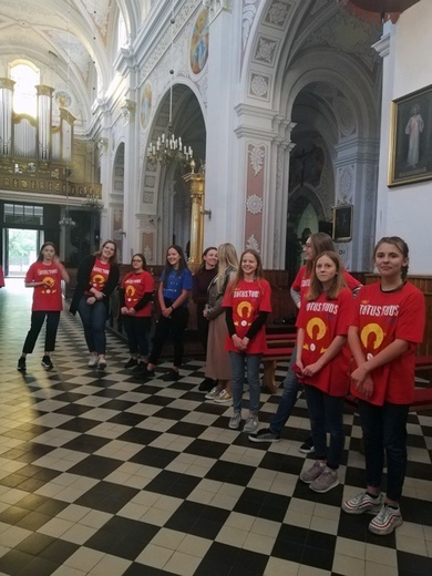 Strefa Lednicka w opoczyńskiej kolegiacie