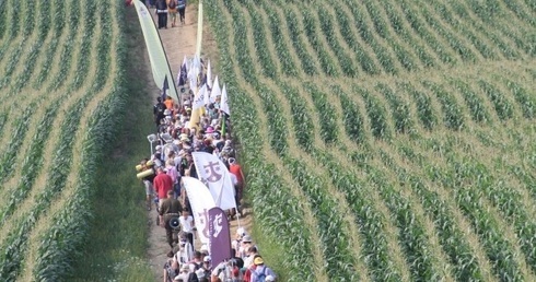 Zapadła ostateczna decyzja. 40. Piesza Pielgrzymka Wrocławska wyruszy na Jasną Górę!